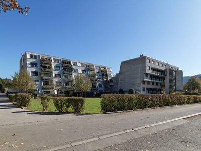 Atelier Pontiller-Swienty, Kommunikative Ulfiswiese, Innsbruck, 1981 – 83