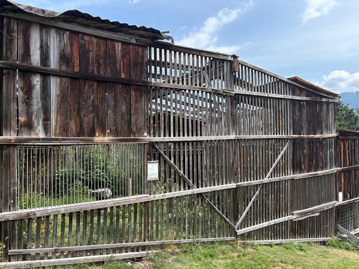 Greifvogelpark Telfes