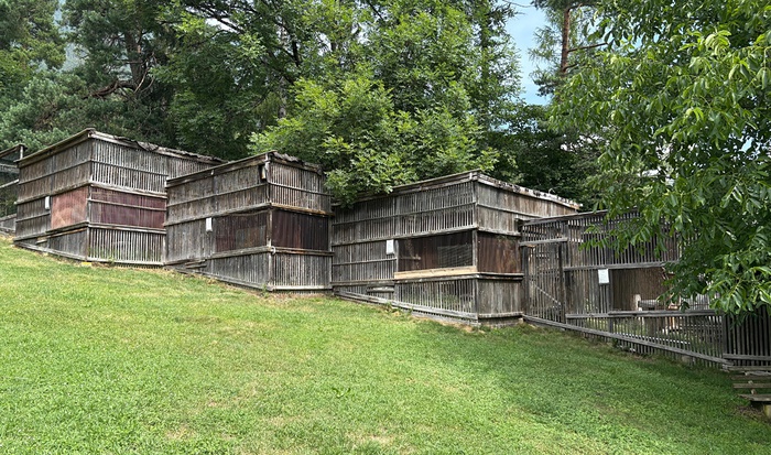 Greifvogelpark Telfes