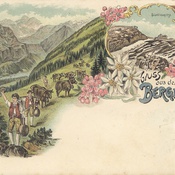 Postkarte, 1899