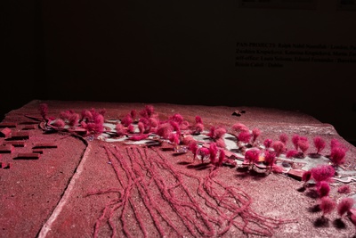 Projekt: Poetics of the Po / Dérive: Kevin Westerveld (Brüssel)