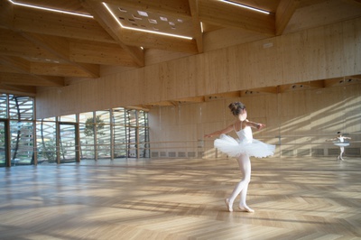 Tanzschule Reggiolo, MC A Mario Cucinella