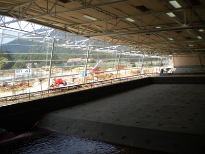 Bad Eggenberg, fasch & fuchs