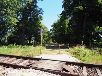 ORTE_Gefuehrte Erkundung_Sag mir wo die Alleen sind1