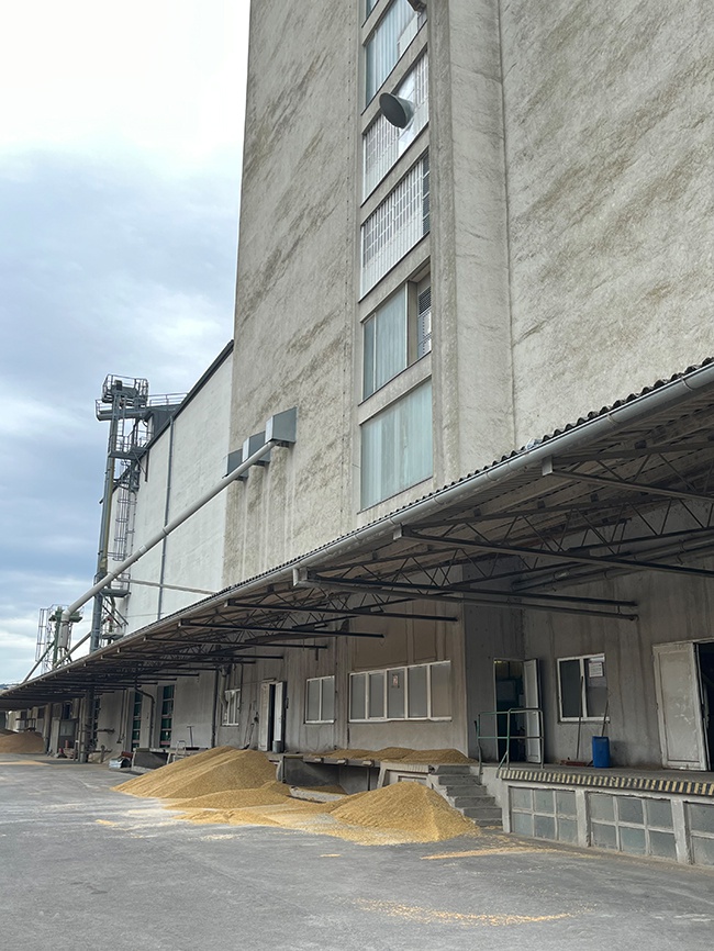 Silo _ Getreideanlieferung