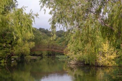 Fußgängerbrücke / Pedestrian Bridge, Miró Rivera Architects