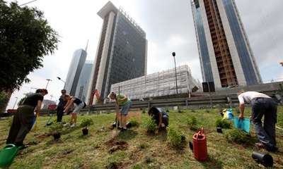 Entstehung des Gemeinschaftsgarten Isola Pepe Verde