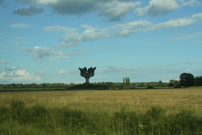 Steinerne Blume
