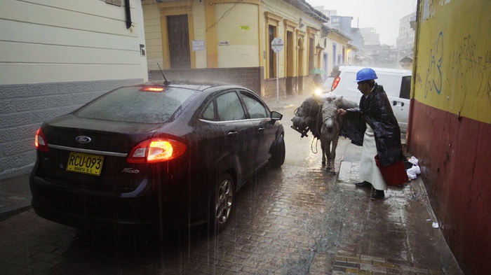 Filmstill, Homo Urbanus Bogotanus
