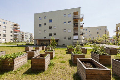 © Zeitgenössischer Wohnbau Kammer - Reininghaus Süd © Martin Grabner