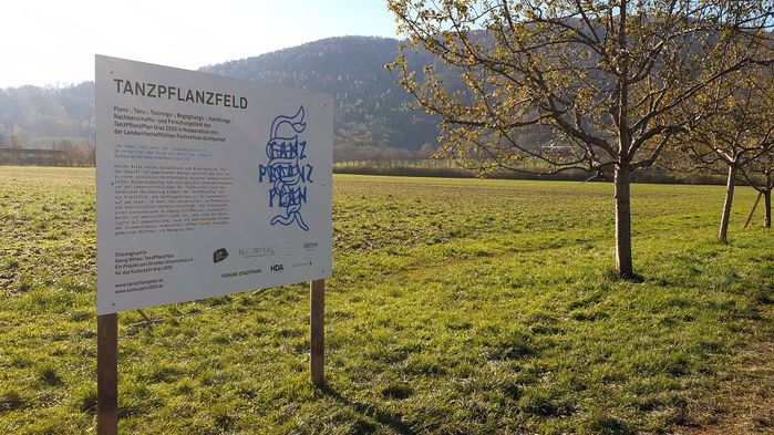 Wetzelsdorf: TanzPflanzFeld