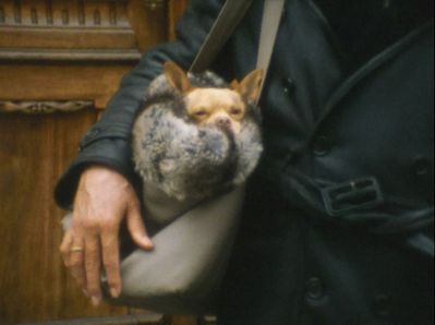 Filmstill 8.-9.12.2020