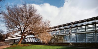 Tennisanlage Simonne Mathieu, Marc Mimram Architecture & Associes