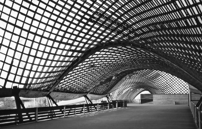 Multihalle, Bundesgartenschau Mannheim