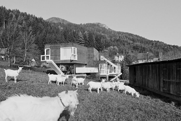 Einfamilienhaus surplus value01 in Laufnitzdorf von weichlbauer/ortis.
