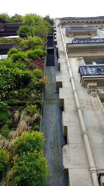 Miloš Kosec, The Emergence of the Reluctant Architect: ‘wall of vegetation’ designed by Patrick Blanc for the Museum Quai Branly in Paris