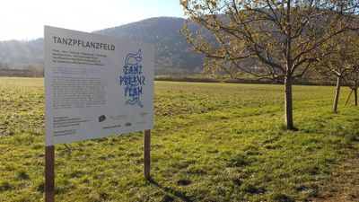 „Hier entsteht das „TanzPflanzFeld“ in Wetzelsdorf“ – ein Projekt von Georg Winter (Stuttgart) / TanzPflanzPlan AG, in Kooperation mit der Fachschule für Land- und Forstwirtschaft Grottenhof.