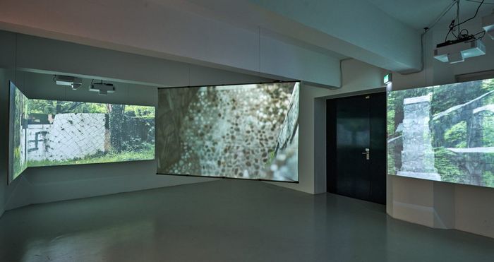 Blick in die Ausstellung "Steine zwischen den Fronten" im aut